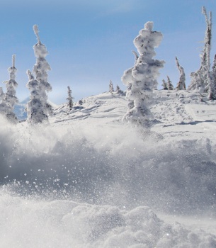 free riding 
in deep powder at silver star ski resort