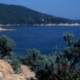 Photo of St Tropez