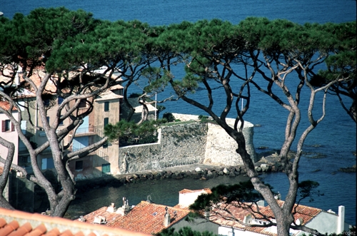 Large photo of St Tropez