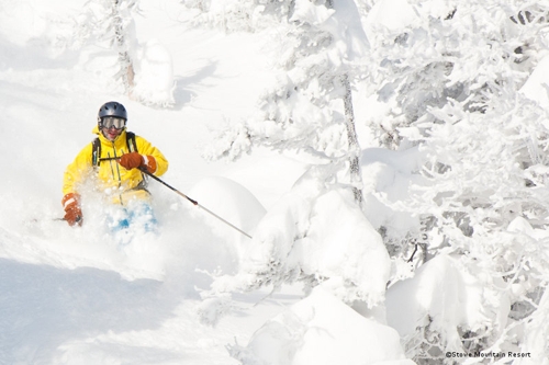 Large photo of Stowe