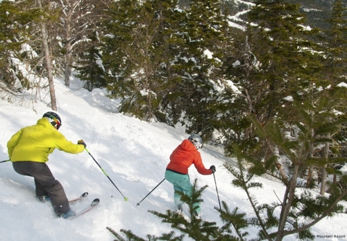 Large photo of Stowe