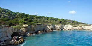 Torre Dell'Orso holiday rentals