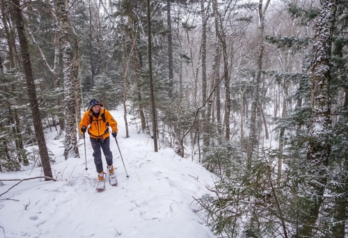 Large photo of Tremblant