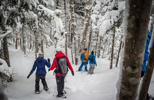 Large photo of Tremblant