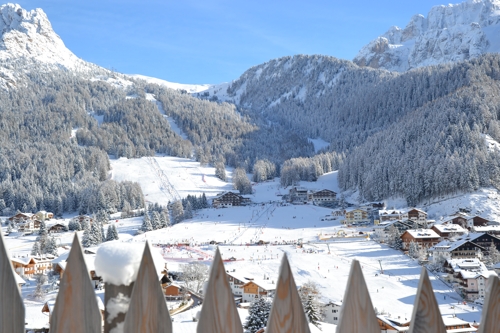 Large photo of Val Gardena-Selva 