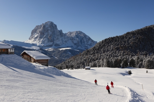 Large photo of Val Gardena-Selva 