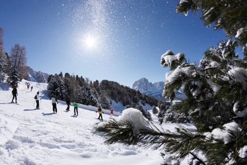 Large photo of Val Gardena-Selva 