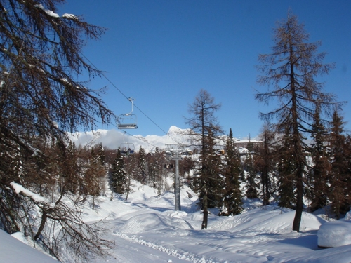 Large photo of Vogel