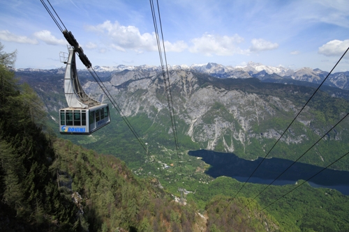 Large photo of Vogel