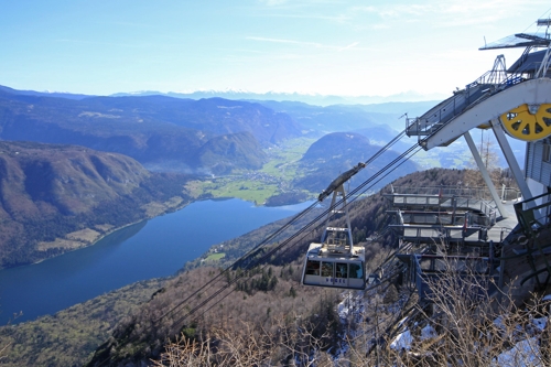 Large photo of Vogel