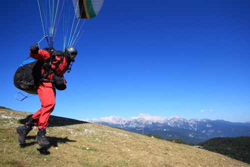 Large photo of Vogel