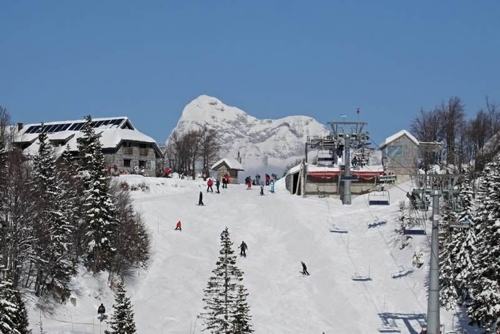 Large photo of Vogel