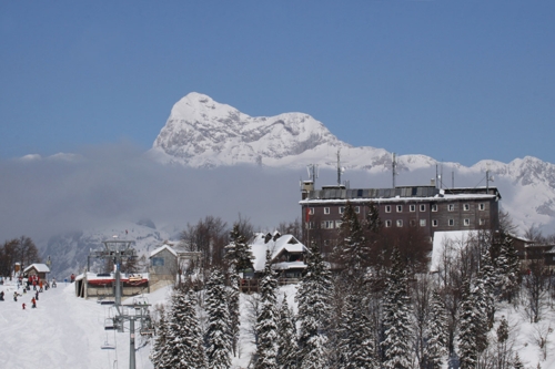 Large photo of Vogel