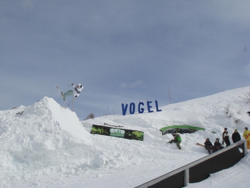 Large photo of Vogel