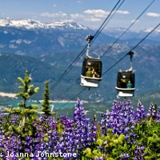 Photo of Whistler