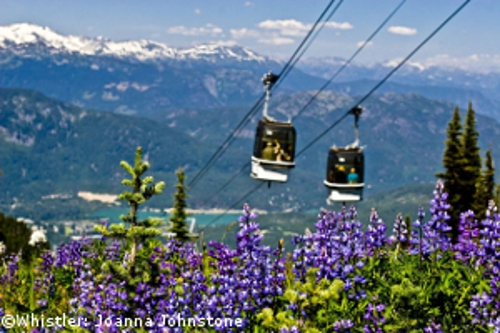 Large photo of Whistler