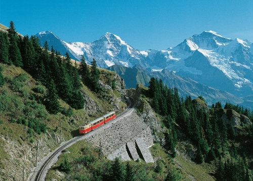 Large photo of Wilderswil