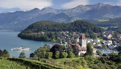 Large photo of Wilderswil